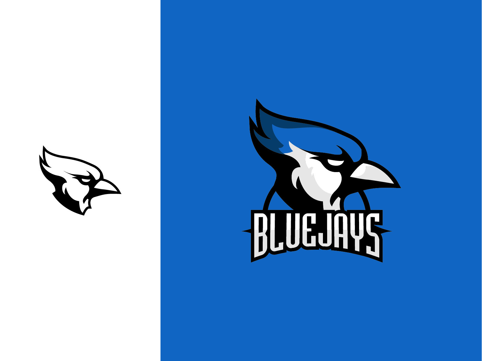 Bluejays private school logo comp.